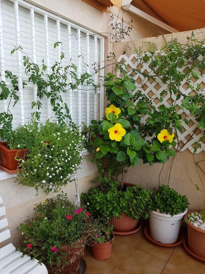 Apartamento Columbretes San Juan  Eksteriør billede
